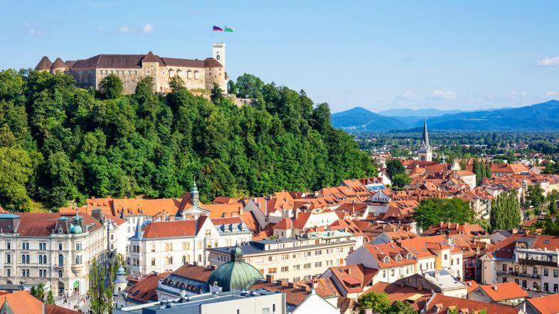 Orhidea Ljubljana