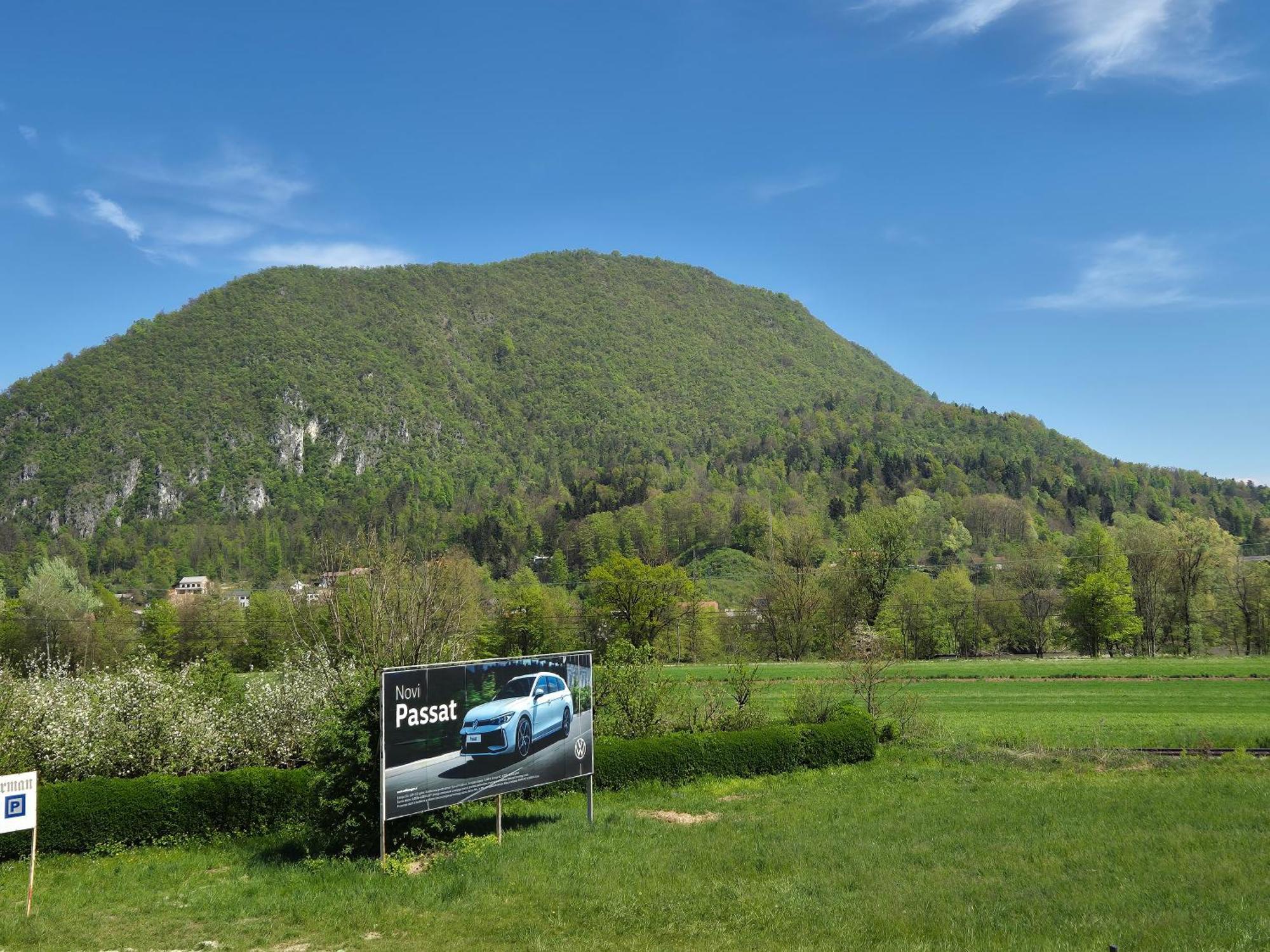 Orhidea Ljubljana